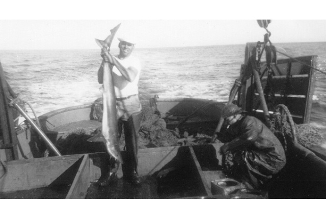 Captain George Moskovita fishing for shark livers